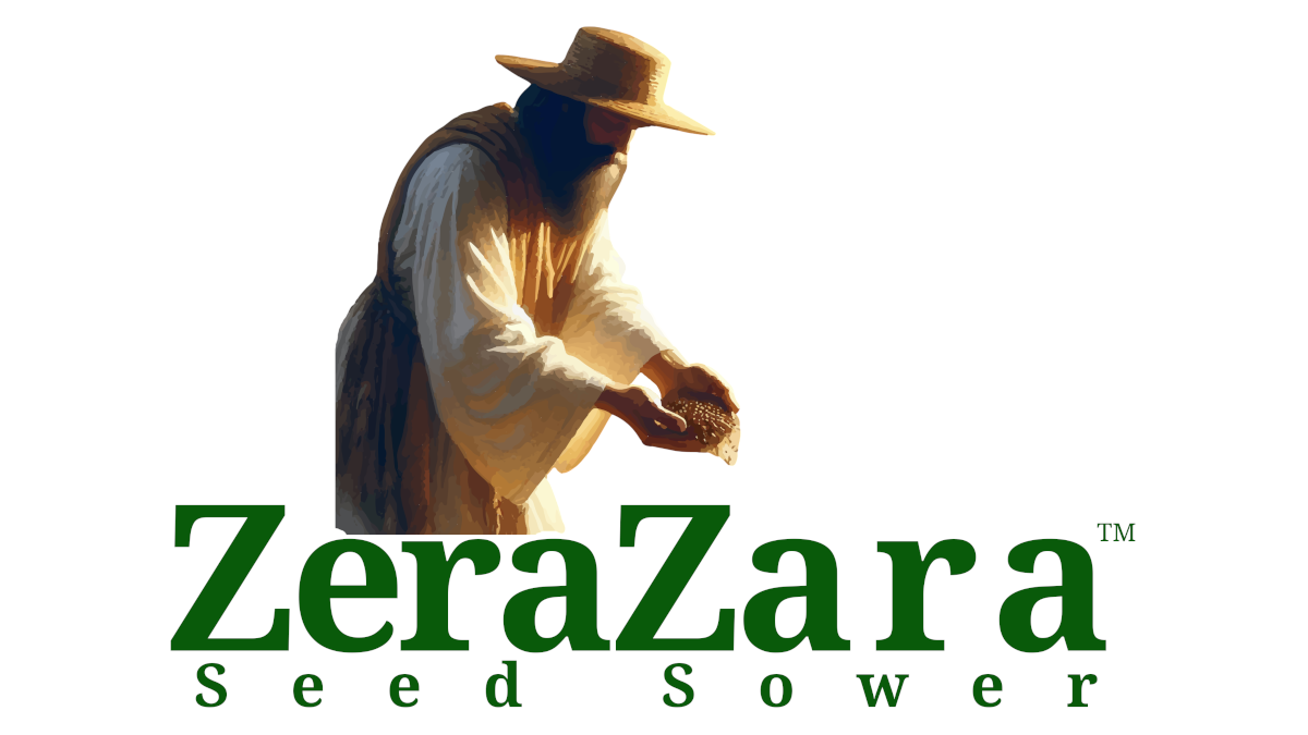 Welcome to ZeraZara™